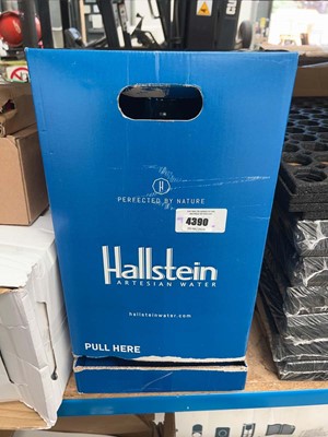 Lot 4390 - Hallstein water jug