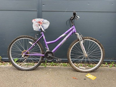 Lot 4021 - Tamarind mountain bike in purple