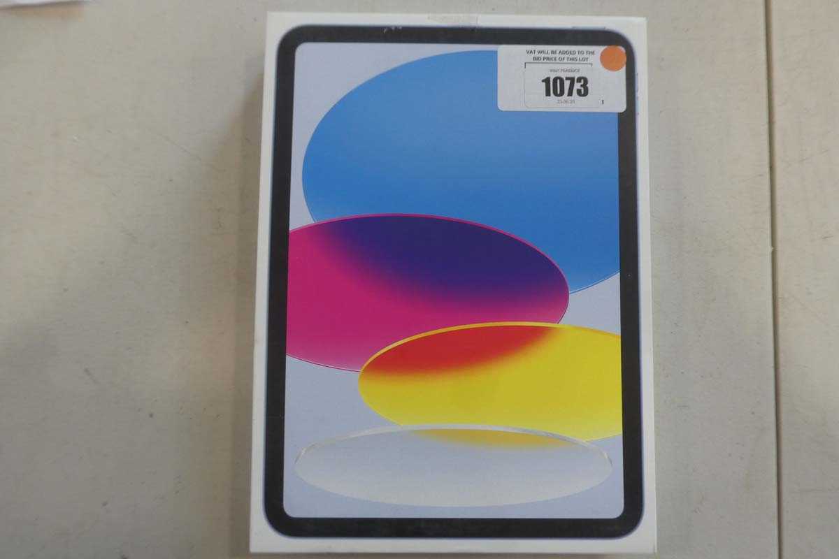 Lot 1073 - Apple iPad (A16) Wi-Fi, 128GB, Blue, model...