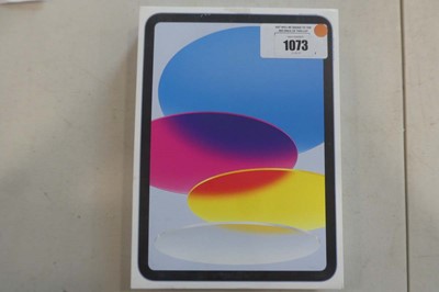 Lot 1073 - Apple iPad (A16) Wi-Fi, 128GB, Blue, model...