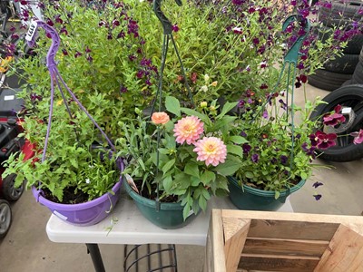 Lot 4127 - Three assorted plastic hanging baskets with...