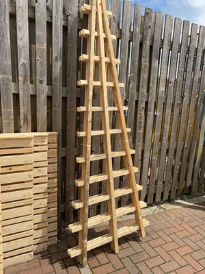 Lot 4287 - Three pieces of triangular trellis
