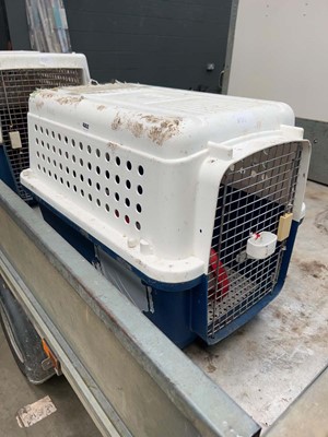 Lot 4352 - Large dog crate together with 3 poultry feeders
