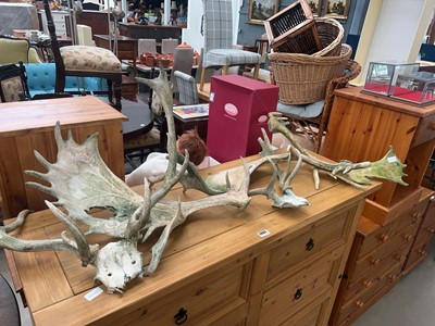 Lot 5082 - Group of assorted antlers