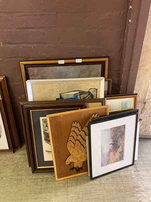 Lot 31 - A stack of pictures to include bird in flight,...