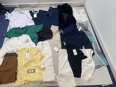 Lot 3783 - Zara & Sister Companies clothing