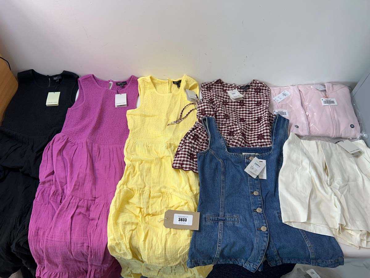 Lot 3833 - Ladies clothing Nobody's Child, Hollister