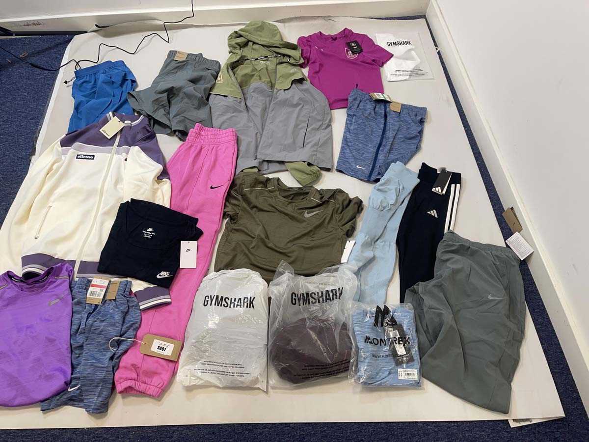 Lot 3807 - Sportswear to include Gym Shark, Nike,...
