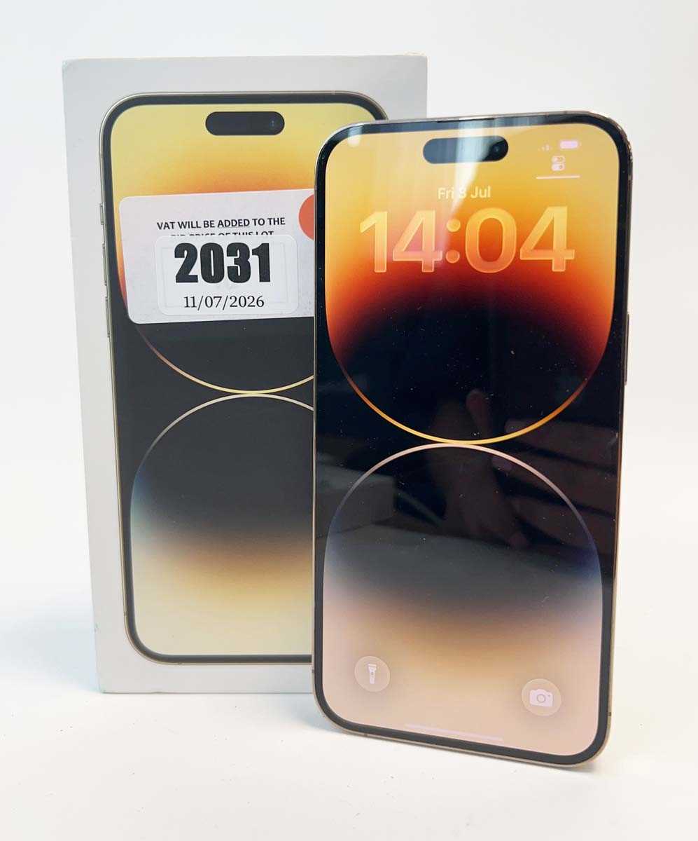 Lot iPhone 14 Pro Max 128GB Gold with box and cable
