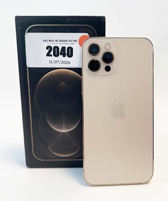 Lot iPhone 12 Pro 256GB Gold with box and cable