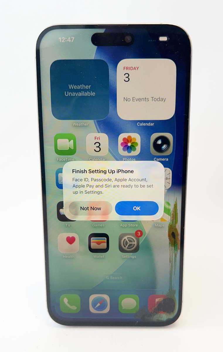 Lot iPhone 15 Pro Max 256GB Natural Titanium (rear...