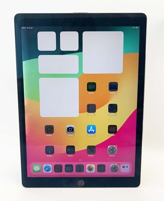 Lot iPad Pro 12.9" 2nd Gen 512GB