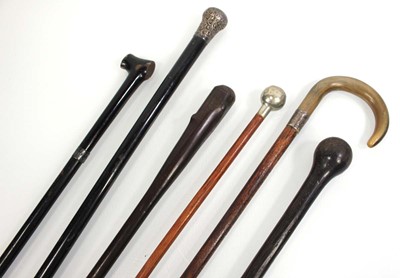 Lot 57 - A group of walking sticks and canes including...