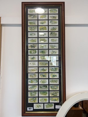 Lot 1017 - Framed set of dog Players cigarette cards (1925)