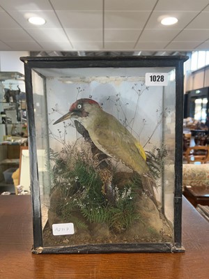 Lot 1028 - Taxidermy: stuffed Green Woodpecker in display...