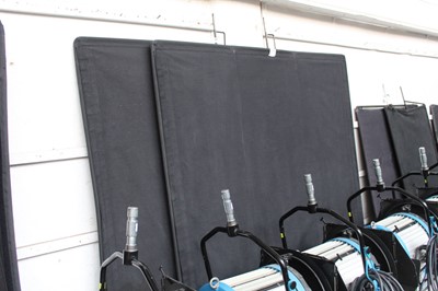 Lot 52 - 2 large black Butterfly photography screens...