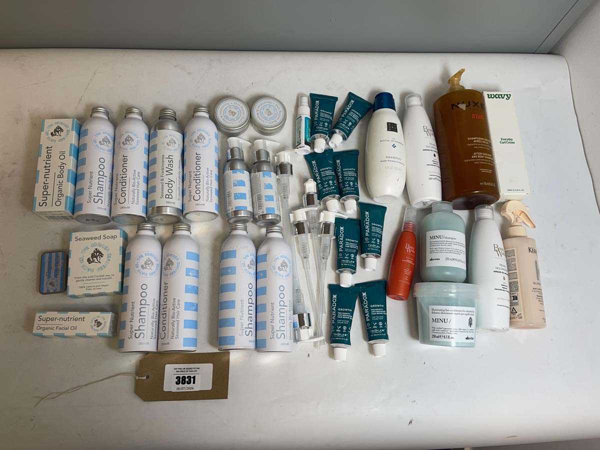 Lot 3831 - Hair products to include Beauty Works,...