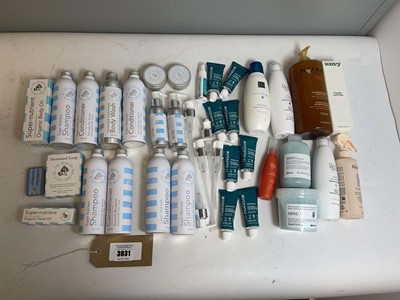 Lot 3831 - Hair products to include Beauty Works,...
