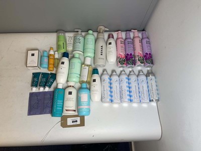 Lot 3848 - Hair care to include Rehab, Rituals, Hair...