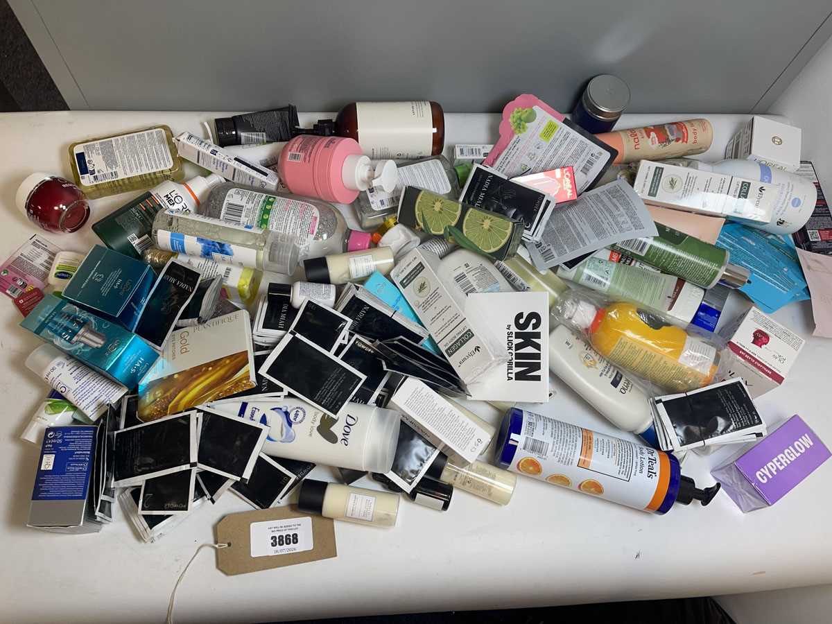 Lot 3868 - Large bag of skincare products
