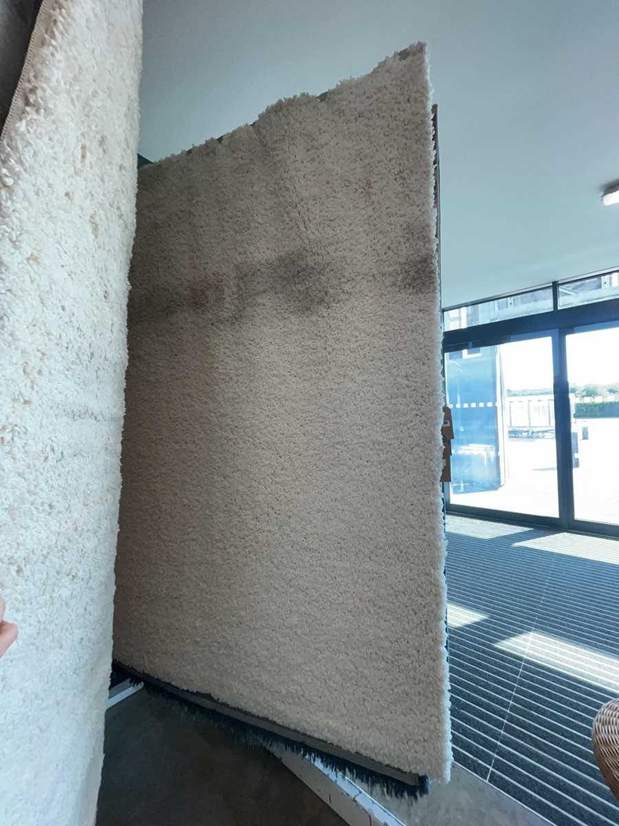 Lot 5031 - Cream deep pile carpet