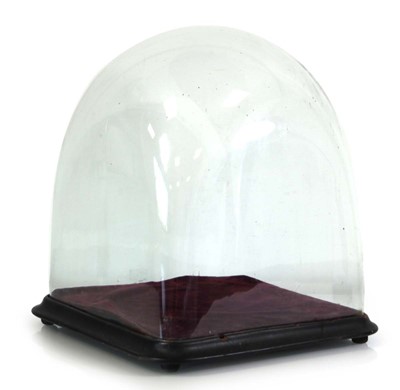 Lot 91 - A late 19th/early 20th century glass dome of...