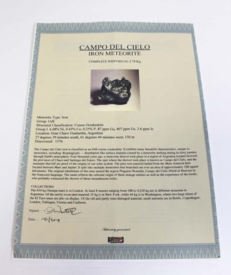 Lot 107 - An iron coarse octahedrite meteorite, Campo...