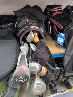 Lot 2300 - SkyMax green/grey branded golf bag containing...