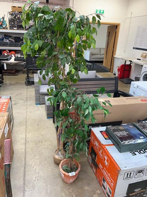 Lot 2465 - 2 various sized artificial plants