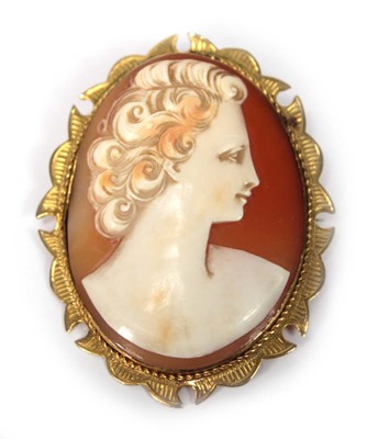 Lot 503 - A 9ct yellow gold mounted cameo brooch...