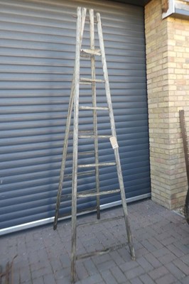 Lot Ash Framed 8 tread apple tree ladder