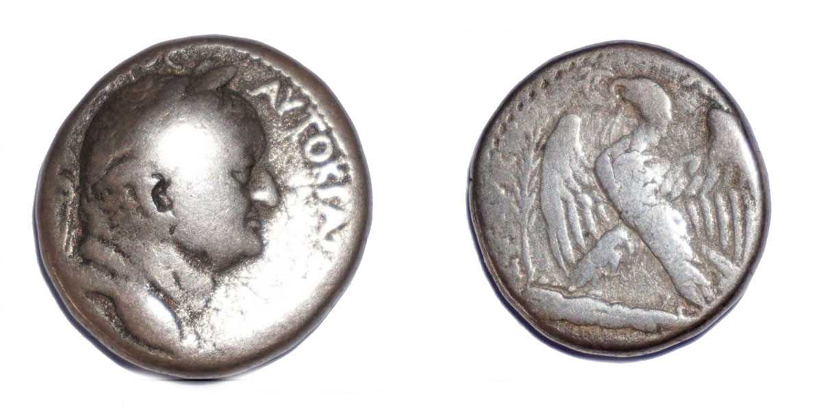 Lot Vespasian tetradrachm, circa 70 AD, obverse:...