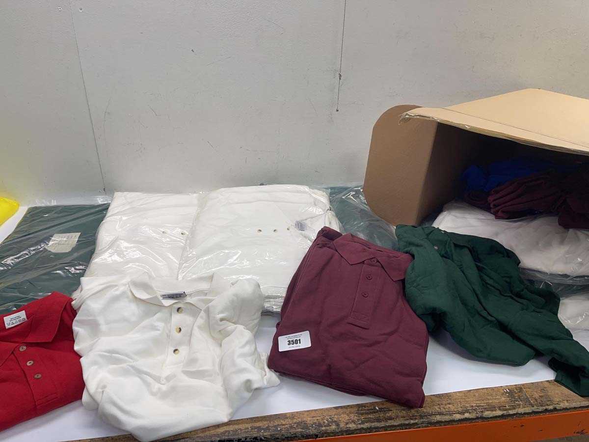 Lot Large box of assorted size and colour polo shirts