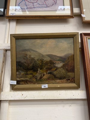 Lot 48 - A framed oil on canvas depicting mountainous...