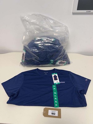 Lot 1842 - Approx. 20 ladies t-shirts by Champion