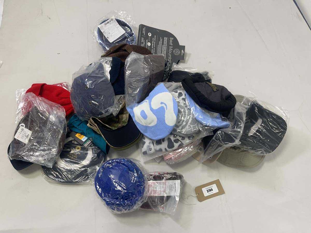 Lot 3764 - Various hats