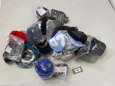Lot 3764 - Various hats