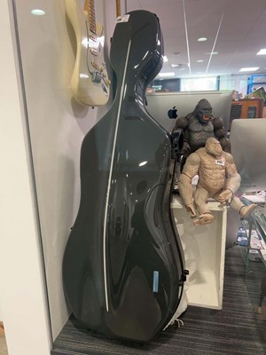 Lot 2110 - Gewa cello case