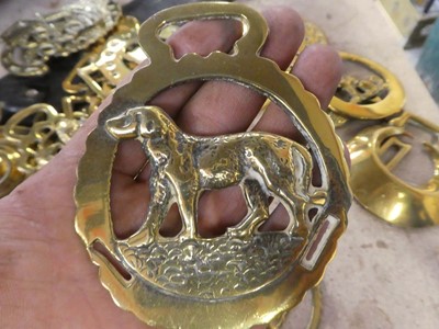 Lot Assorted horse brasses