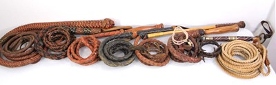 Lot 81 - A group of eight braided leather bull whips (8)