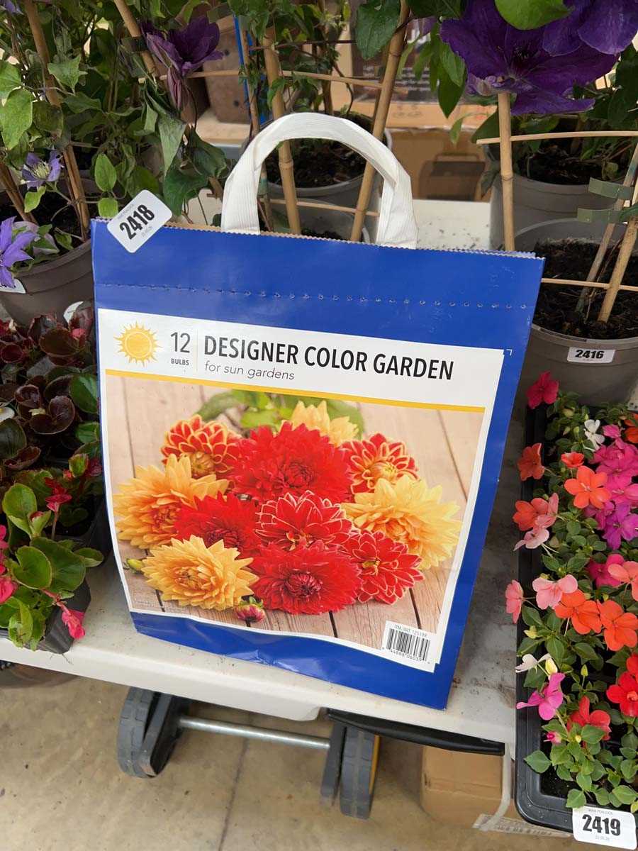 Lot 2418 - Bag of approx. 12 bulbs of designer colour...