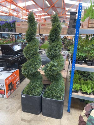 Lot 2601 - Pair of artificial conical shrubs in black...
