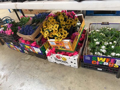 Lot 2625 - Under bay containing artificial flowers
