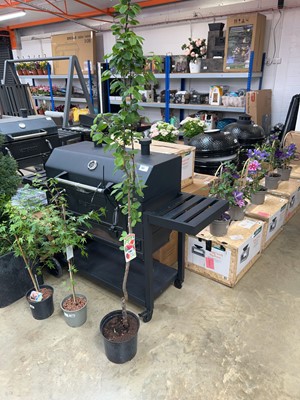 Lot 2182 - Large potted Burbank plum tree