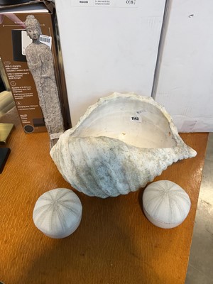 Lot 1143 - 3 shell and urchin ornaments, together with a...