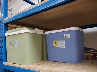 Lot 2591 - 3 24L single handled cool boxes