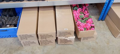 Lot 2222 - 8 boxes of mixed coloured artificial flowers